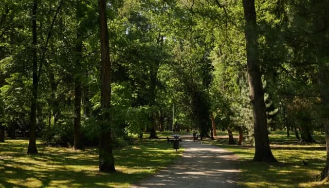 Gdzie biegać we Wrocławiu? Odkryj najlepsze trasy biegowe i parki